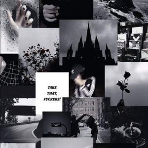 Meet your Posher, Autumn